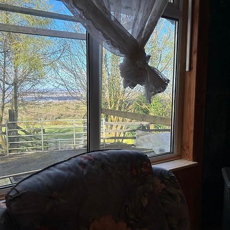 Cozy Room In A Barn With Farm View Dublin Exterior photo